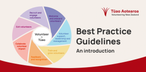 Best Practice Guidelines: An Introduction