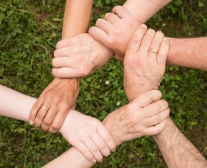 Working with migrant volunteers (Dunedin)